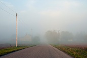 Where The Fog Begins